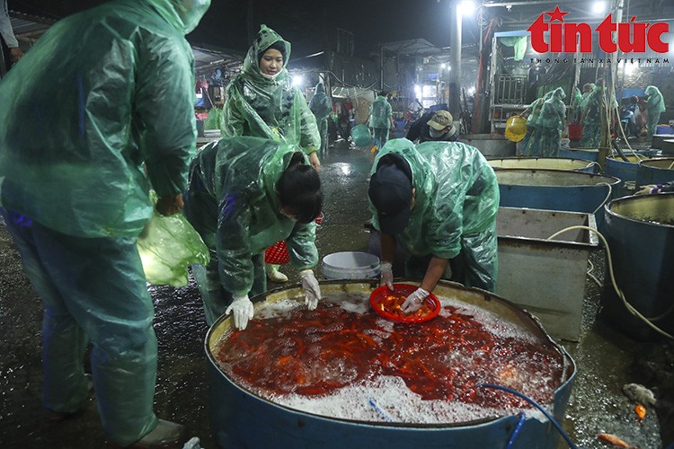 Chợ Yên Sở đỏ ối cá chép tiễn ông Công ông Táo về trời Chợ Yên Sở đỏ ối cá chép tiễn ông Công ông Táo về trời