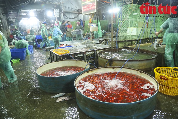 Chợ Yên Sở đỏ ối cá chép tiễn ông Công ông Táo về trời