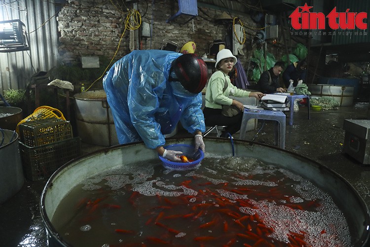 Chợ Yên Sở đỏ ối cá chép tiễn ông Công ông Táo về trời Chợ Yên Sở đỏ ối cá chép tiễn ông Công ông Táo về trời