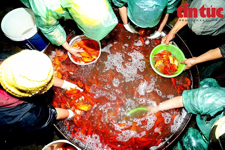 Chợ Yên Sở đỏ ối cá chép tiễn ông Công ông Táo về trời Chợ Yên Sở đỏ ối cá chép tiễn ông Công ông Táo về trời