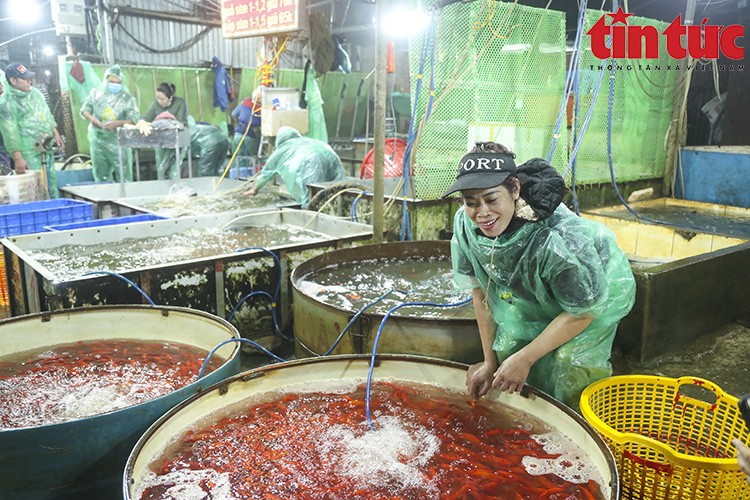 Chợ Yên Sở đỏ ối cá chép tiễn ông Công ông Táo về trời Chợ Yên Sở đỏ ối cá chép tiễn ông Công ông Táo về trời