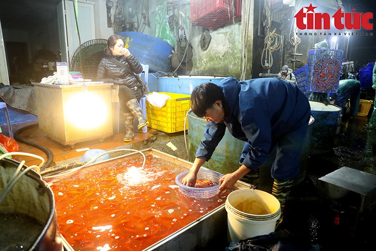 Chợ Yên Sở đỏ ối cá chép tiễn ông Công ông Táo về trời Chợ Yên Sở đỏ ối cá chép tiễn ông Công ông Táo về trời