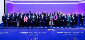 Việt Nam – EU: Tiến tới hình mẫu hợp tác điển hình trong lĩnh vực chuyển đổi xanh