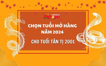 Tuổi mở hàng năm 2024 cho người tuổi Tân Tị 2001