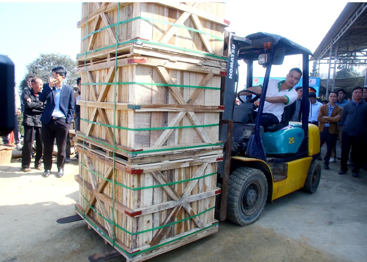 Container củ cải muối đầu tiên của năm 2024 sang Nhật Bản