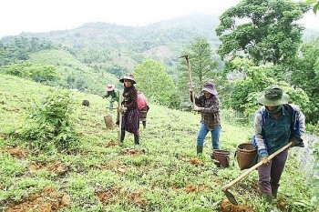 Bộ Tài nguyên và Môi trường đề xuất quy định về hỗ trợ đất đai đối với đồng bào dân tộc thiểu số