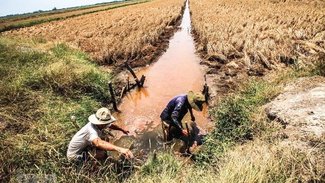 Xâm nhập mặn tại Đồng bằng sông Cửu Long tiếp tục tăng trong mùa khô 2023-2024