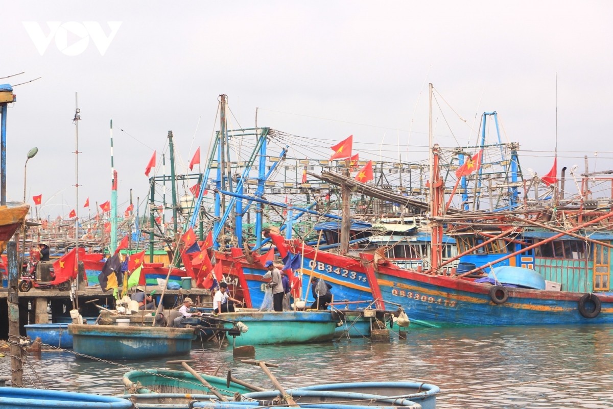 Độc đáo lễ hội cầu ngư của làng biển Quảng Bình