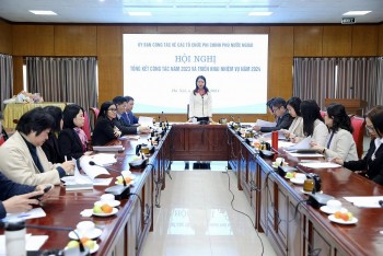 Viện trợ phi chính phủ nước ngoài năm 2023 đạt 228,6 triệu USD