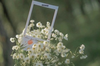 Tử vi hôm nay 12 cung hoàng đạo 20/3/2024: Kim Ngưu có cơ hội tỏa sáng