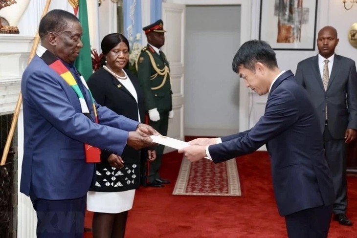 Tổng thống Zimbabwe mong muốn đẩy mạnh hợp tác với Việt Nam - ảnh 1