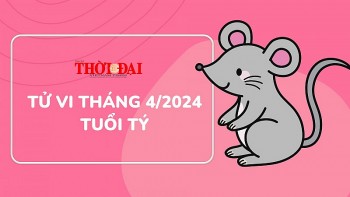 Tử vi tuổi Tý tháng 4/2024: Sự nghiệp khó khăn, cuộc sống đảo lộn