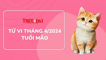 Tử vi tháng 4/2024 tuổi Mão: Sức khỏe tổn hao, sự nghiệp xáo trộn