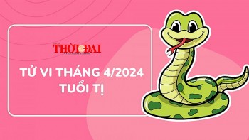 tu vi tuoi ty thang 42024 nhieu co hoi thang tien trong cong viec