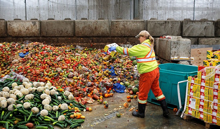 Một lượng lớn thực phẩm hỏng hoặc hết hạn bị bỏ đi tại một siêu thị ở Anh. (Ảnh: Reuters)