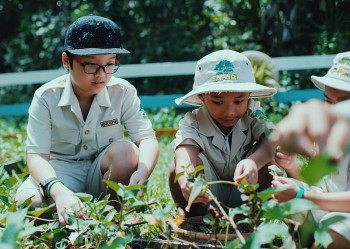 Độc đáo “bản giao hưởng hoang dã” tại Vinpearl Safari Phú Quốc