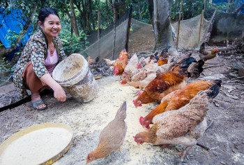 Hỗ trợ doanh nghiệp do phụ nữ làm chủ tham gia chuỗi cung ứng