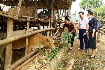 Quan tâm về quyền con người một cách thực chất nhất