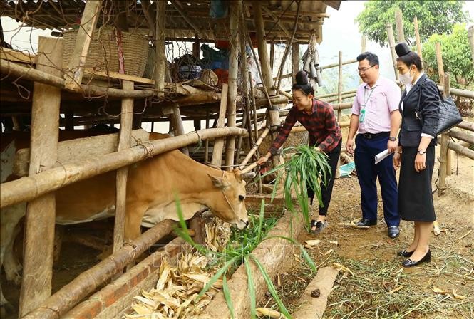 Quan tâm về quyền con người một cách thực chất nhất