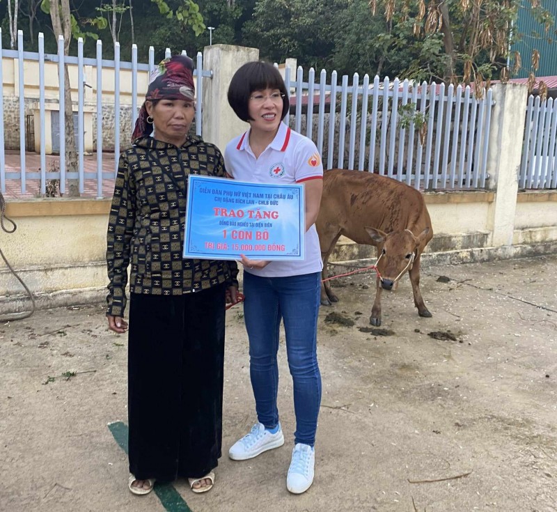 Diễn đàn Phụ nữ Việt Nam tại Châu Âu trao bò sinh sản cho 12 hộ nghèo ở tỉnh Điện Biên