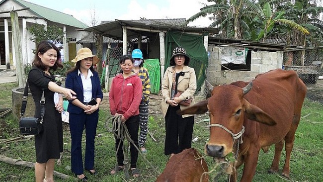 GCS hỗ trợ phụ nữ khó khăn của tỉnh Quảng Trị nâng cao thu nhập