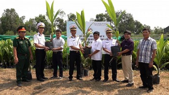 cay xanh cua tinh binh dinh den voi truong sa