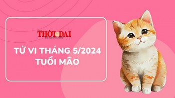 Tử vi tháng 5/2024 tuổi Mão: Tài chính đi xuống sức khỏe tổn hao