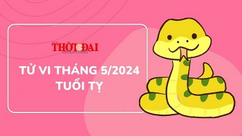 Tử vi tháng 5/2024 tuổi Tỵ: Sự nghiệp lên hương tài chính nhảy vọt