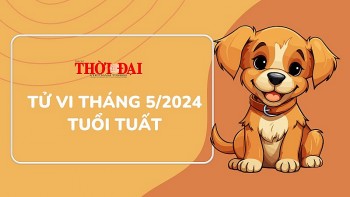 Tử vi tháng 5/2024 tuổi Tuất: Có những bước tiến vững vàng