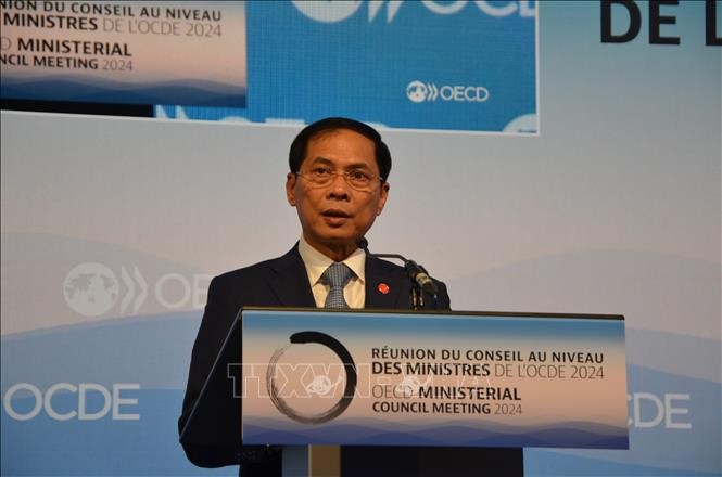 Bộ trưởng Ngoại giao Bùi Thanh Sơn phát biểu tại Lễ Kỷ niệm 10 năm thành lập Chương trình khu vực Đông Nam Á (SEARP) của OECD.