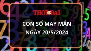 Con số may mắn hôm nay 20/5/2024 12 con giáp: mão thần tài gõ cửa, lốc lá tràn vào nhà