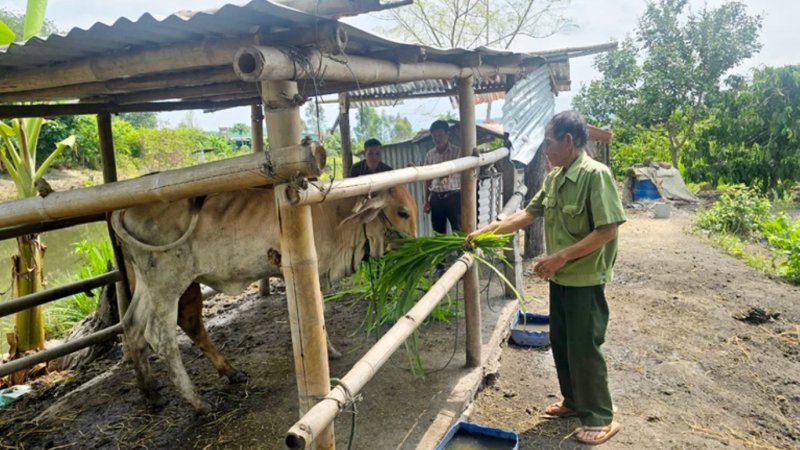 Giúp người dân vùng biên giới phía bắc Tây Nguyên làm kinh tế