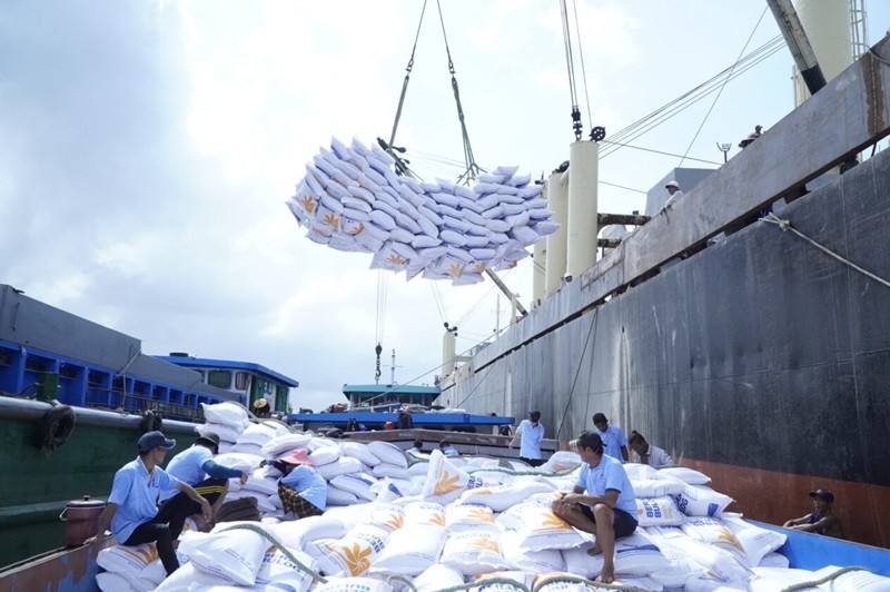 Thầu 300 ngàn tấn gạo Bulog: Doanh nghiệp Việt Nam chào giá thấp so với các nước