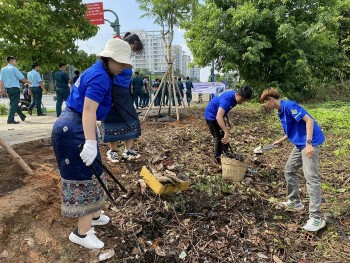 Tình nguyện viên quốc tế tham gia chiến dịch tình nguyện hè Thành phố Hồ Chí Minh năm 2024