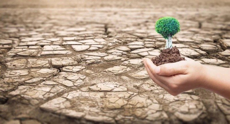 Ngày Môi trường Thế giới: Phục hồi đất, chống hạn hán và sa mạc hóa 3