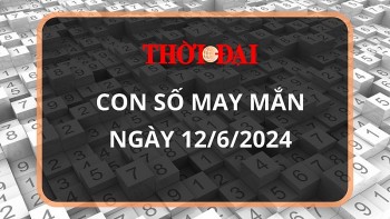 Con số may mắn hôm nay 12/6/2024 12 con giáp: Tuất – Hợi may mắn hơn người