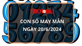 Con số may mắn hôm nay 20/6/2024 12 con giáp: Tỵ may mắn ngập tràn