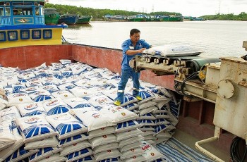 Nghịch lý ngành phân bón: Sản xuất dư thừa, nhập siêu vẫn tăng mạnh