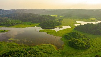 Vườn Quốc gia Cát Tiên nhận danh hiệu Danh lục Xanh IUCN