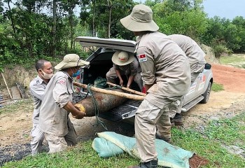 viet nam tro thanh thanh vien cua hoi dong chap hanh trung tam hanh dong bom min nhan dao geneva