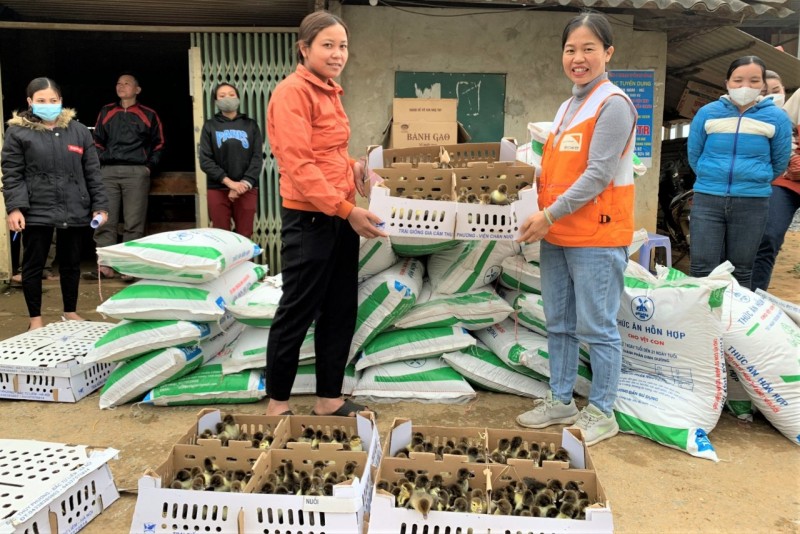 World Vision Việt Nam hỗ trợ con giống ngan Pháp R71, thức ăn chăn nuôi và thuốc thú y cho 160 hộ gia đình ở huyện Bá Thước (Thanh Hóa) chịu ảnh hưởng bởi đại dịch COVID-19. Ảnh: World Vision Việt Nam