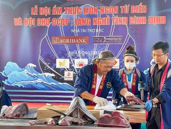 binh dinh gioi thieu tinh hoa dat bien den du khach trong va ngoai nuoc