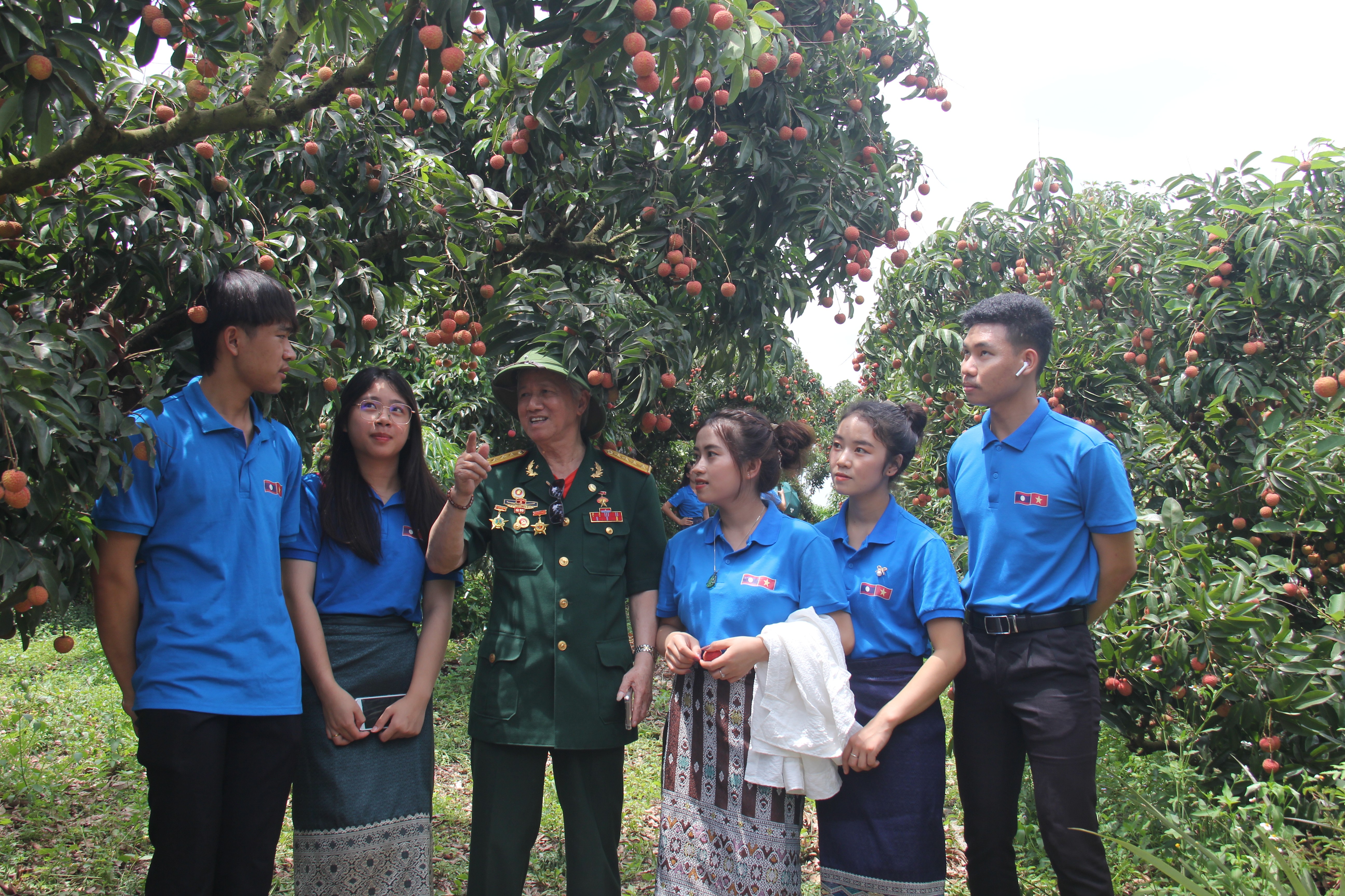 Lưu học sinh Lào khám phá vườn vải ở Lục Ngạn, Bắc Giang (Ảnh: Thành Luân).