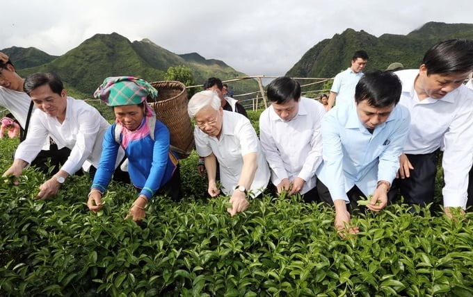 Tháng 7/2016, Tổng Bí thư Nguyễn Phú Trọng về thăm bà con xã Bản Bo, huyện Tam Đường, tỉnh Lai Châu.  và làm việc với lãnh đạo chủ chốt của tỉnh Lai Châu. Ông đã khảo sát thực tế mô hình thâm canh sản xuất chè chất lượng cao theo tiêu chuẩn VietGap tại bản Cốc Phát và tham gia hái chè cùng bà con xã Bản Bo. (Ảnh: Nông nghiệp Việt Nam)