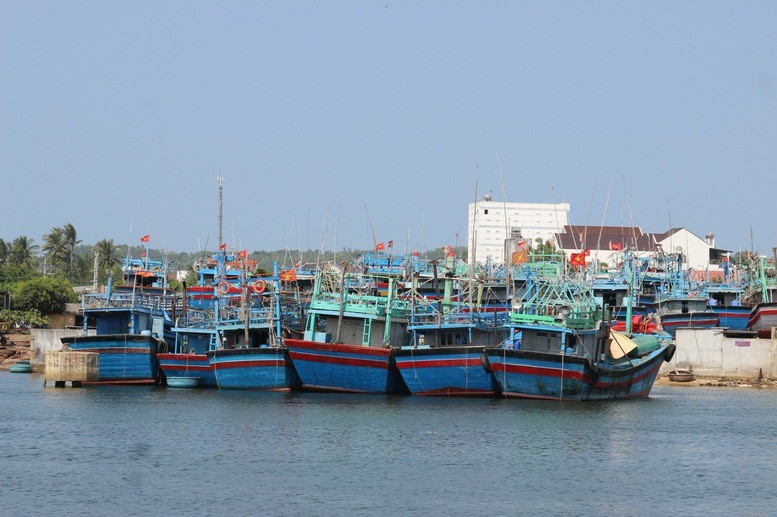 Hơn 200 tàu cá của tỉnh Bình Định thường xuyên hoạt động ở phía nam, hàng năm không về địa phương.