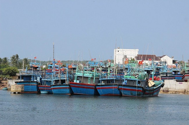 Bình Định: Tàu cá không lắp thiết bị giáp sát hành trình sẽ bị thu hồi