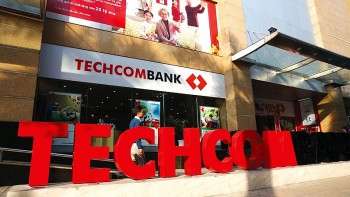 Ai đang sở hữu trên 1% vốn điều lệ tại Techcombank?