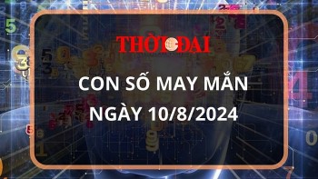 Con số may mắn hôm nay 10/8/2024 12 con giáp: ”Cá chép vượt vũ môn” Dậu một bước thành công