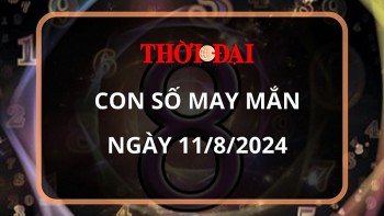 Con số may mắn hôm nay 11/8/2024 12 con giáp: Hợi may mắn gấp bội, công việc vô cùng thuận lợi