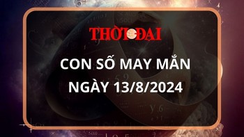 Con số may mắn hôm nay 13/8/2024 12 con giáp: Sửu may mắn ngập trời